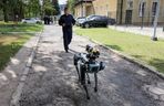 Ma cztery łapy, stalowe serce i właśnie podał łapę policjantowi. „Robopies” nowym hitem w służbach