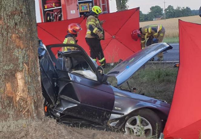 Śmiertelny wypadek pod Zgierzem. Dwóch mężczyzn zginęło w roztrzaskanym BMW. Policja szuka świadków 