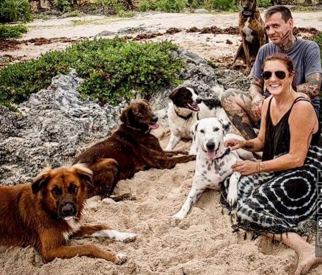 Zginęła ratując psy przed tsunami! Kobieta nie żyje, przeżył jeden pies