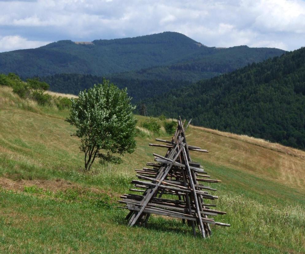 Zapomniane małopolskie góry. Tu nie ma kolejek, drożyzny i tatrzańskich tłumów 