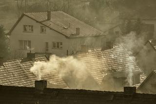 Tak polskie miasta walczą o czyste powietrze. Smog coraz częściej zabija Polaków