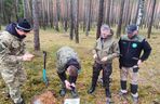 Cenne odkrycie w Borach Tucholskich. Za jedną taką srebrną monetę Krzyżacy kupowali bochenek chleba czy garść soli