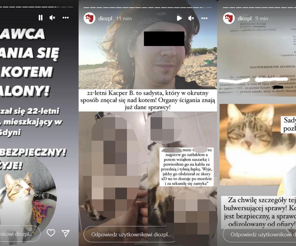 Nagrał film, jak skatował i powiesił swojego kota! 22-letni sadysta z Gdyni zatrzymany