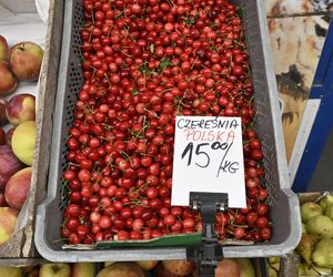  Ceny nowalijek na warszawskich bazarach szokują. Byliśmy i sprawdziliśmy ile trzeba zapłacić