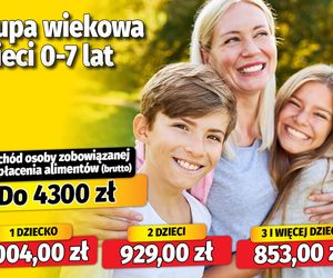 Nowe tablice alimentacyjne