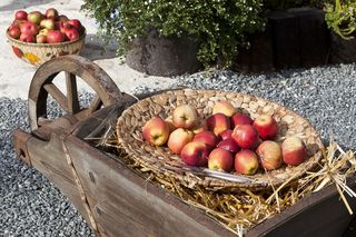 Jesienne dekoracje balkonu i tarasu