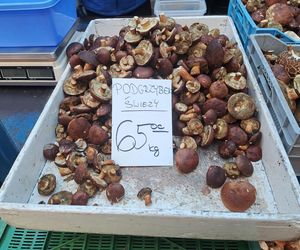 Ceny grzybów na Nowym i Starym Kleparzu w Krakowie