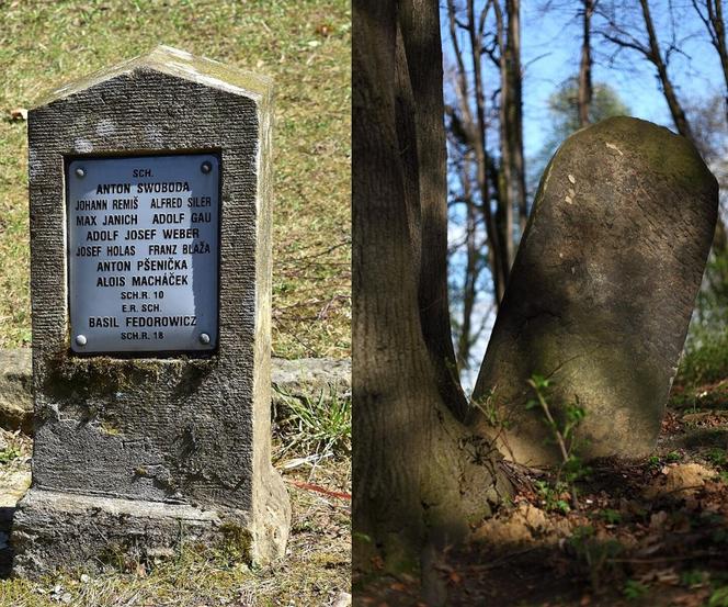 Tajemnicze cmentarze w Małopolsce. O wielu z nich nikt już nie pamięta