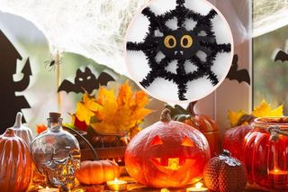 Weź 6 zł i pędź do Pepco. Dekoracje na Halloween znajdziesz też w innych sklepach