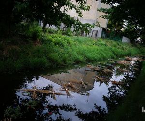 Impreza Wianki nad Krzną odyła się w Łukowie już po raz siódmy