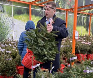 Przemysław Czarnek kupuje choinkę dla wnuka