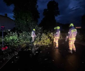 Burze nad Wielkopolską. Strażacy interweniowali setki razy