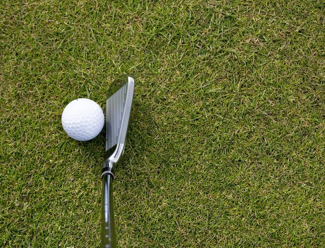 ZIS rozwiąże umowę z inwestorem, który miał zbudować w Krakowie pole golfowe