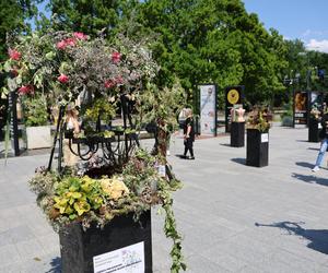 Weekend z florystyką w Lublinie. Zobacz imponujące roślinne instalacje w centrum miasta!