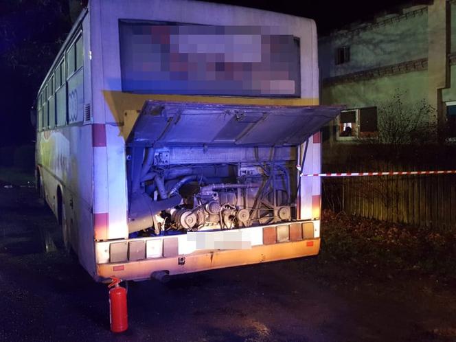 Autobus z dziećmi uderzył w drzewo! Są ranni. Dramat w Trzebiechowie [GALERIA]
