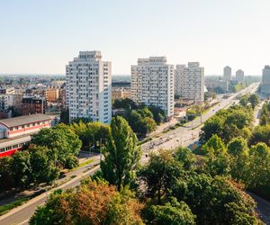 Sedesowce Wrocław