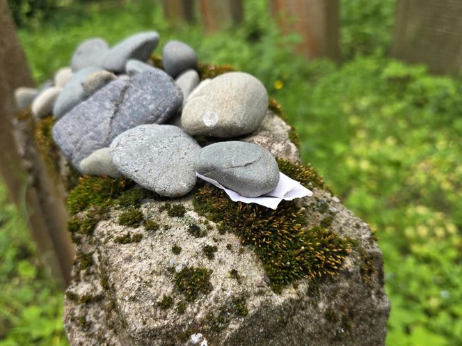 Cmentarz żydowski w Leżajsku