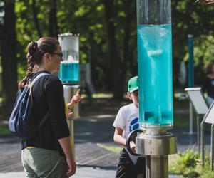 Ogród Doświadczeń im. St. Lema w Krakowie