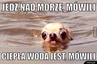 Najlepsze memy o wakacjach nad polskim morzem