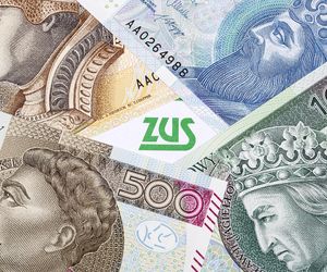 Pilny komunikat ZUS w sprawie najbliższych wypłat 800 plus. „Fałszywe doniesienia” 