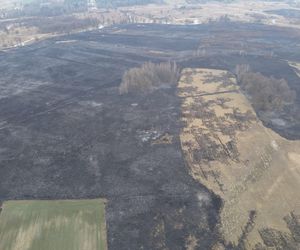 Mazowsze płonie. Ponad 300 pożarów w dwa dni. Strażacy biją na alarm!