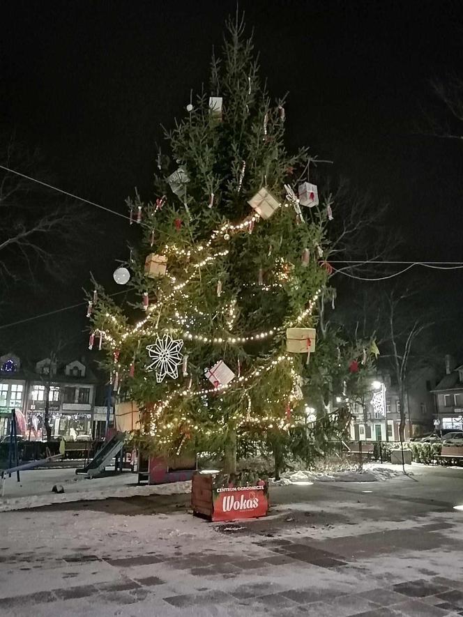 Łosice w świątecznej szacie