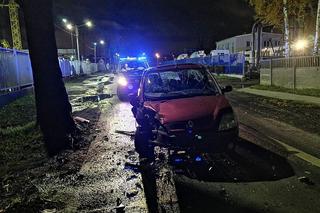 Gdańsk: Pijany kierowca z impetem wjechał w drzewo. Miał prawie 1,5 promila