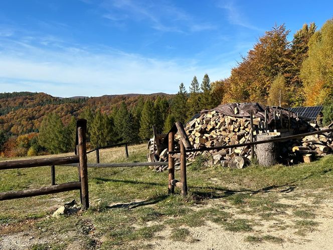 Małopolskie pasmo górskie zachwyca jesiennym pięknem. Ukryta perełka z widokiem na tatry 