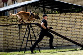 Policjanci na czterech łapach szkolili się w areszcie śledczym [ZDJĘCIA]