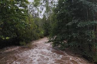 Ewakuacja mieszkańców w Lądku-Zdroju. Wylała rzeka Biała Lądecka