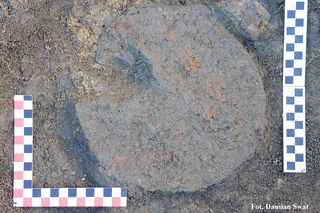 Sensacyjne odkrycie w Bartążku. Tu podpisano akt lokacyjny Olsztyna. Tego miejsca szukało wielu badaczy