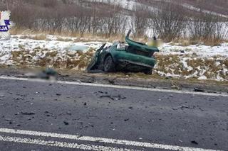 Zagrody, wypadek na trasie Lublin-Biłgoraj