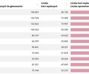 Frekwencja wyborcza w miastach woj. śląskim na godz. 17 