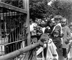 Zoo w Zamościu na starych zdjęciach