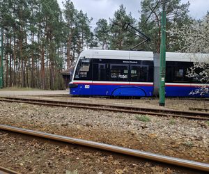 Tak po modernizacji będzie wyglądała pętla tramwajowa w Lesie Gdańskim! 