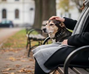 Pies w sądzie w Sosnowcu. Czy Temida wydała wyrok miłości?