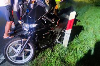 Motocykliści ZDERZYLI się z sarną na drodze wojewódzkiej. GROŹNY wypadek koło Wojnicza [ZDJĘCIA]