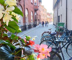 Ystad - malownicze szwedzkie miasteczko nad Bałtykiem