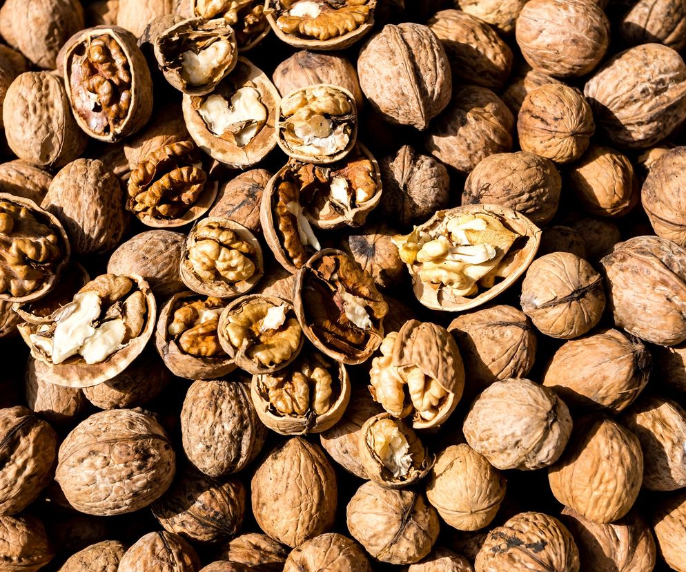 Orzechy włoskie