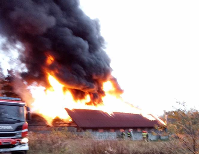 Pożar stajni w Częstochowie. Spłonęła całkowicie