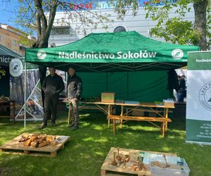 XVI Jarmark św. Stanisława w Siedlcach. Zobacz zdjęcia