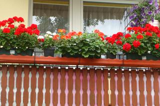 Najpiękniejsze balkony w Starachowicach