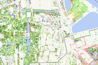 Ponad 7 milionów drzew... na mapie. W Warszawie powstała Mapa Koron Drzew 