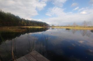 Świętokrzyskie bagna. To miejsce mało znane na mapie naszego regionu 