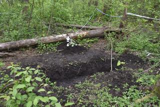 Wstrząsający mord w Konstancinie. 16-letnia Kornelia zginęła z rąk przyjaciółki i jej chłopaka