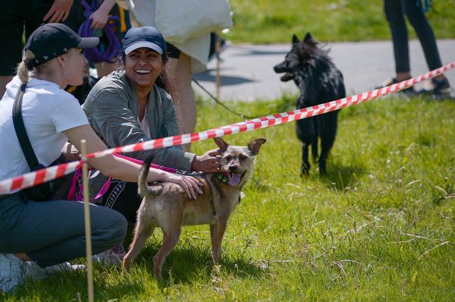 Właściciele zwierząt spotkali się w niedzielę 21 maja 2023 r. w Parku Fontann 