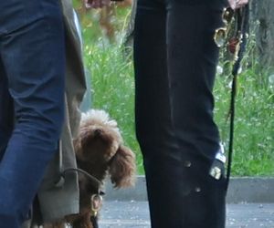 Andrzej Chyra smyra i całuje