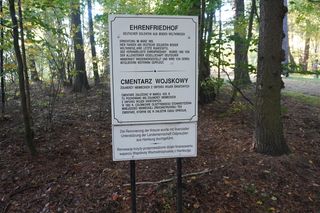 Zapomniany cmentarz wojskowy położony w środku lasu. Pochowano tam około 800 niemieckich żołnierzy [ZDJĘCIA]