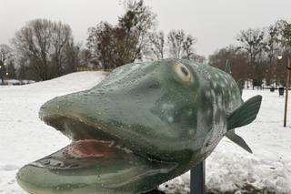 W Węgorzewie stanęły makiety rzeźb ryb [ZDJĘCIA]