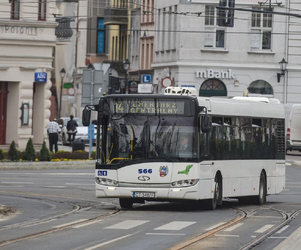 Autobus MZK w Toruniu jedzie na cmentarz